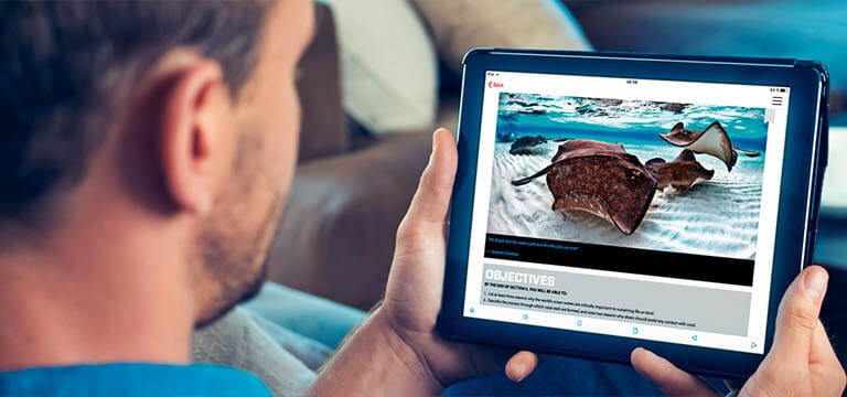 Online-training
