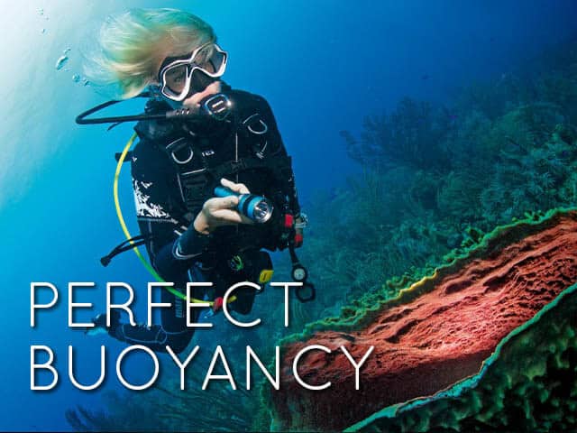Perfect-buoyancy-icon-1