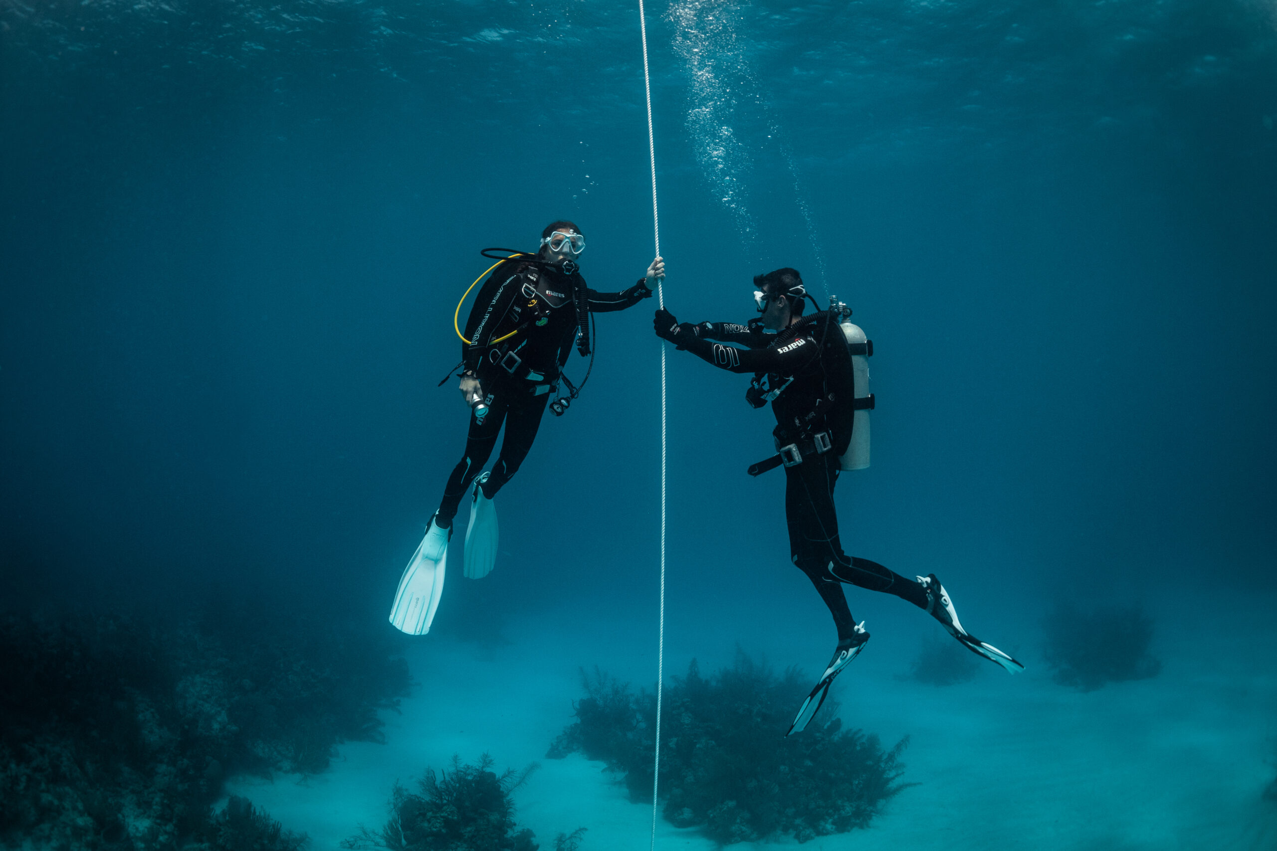 Scuba Diver Dive Image