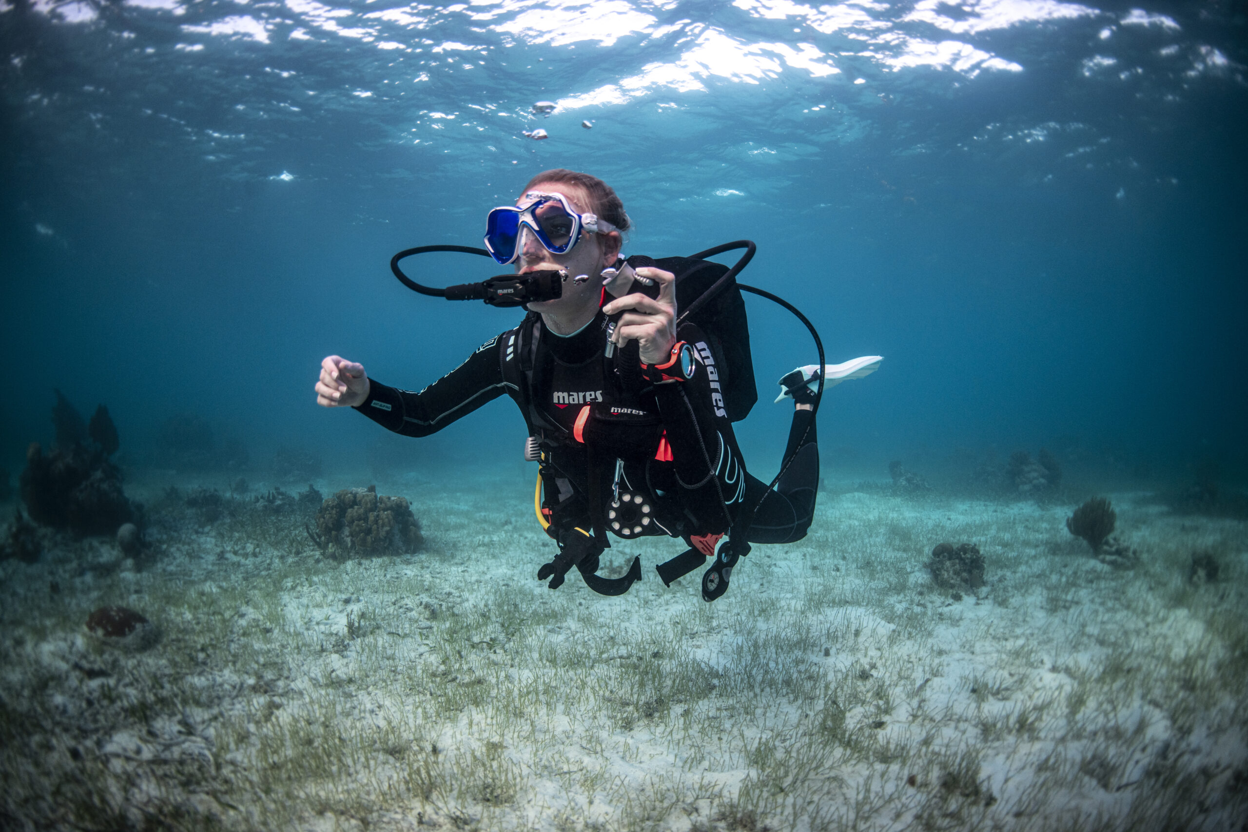 Dive Image (22)