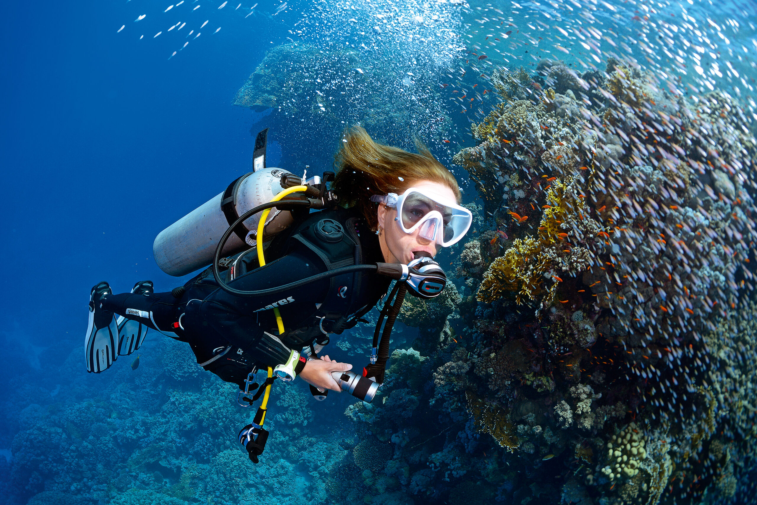 Dive Image (4)