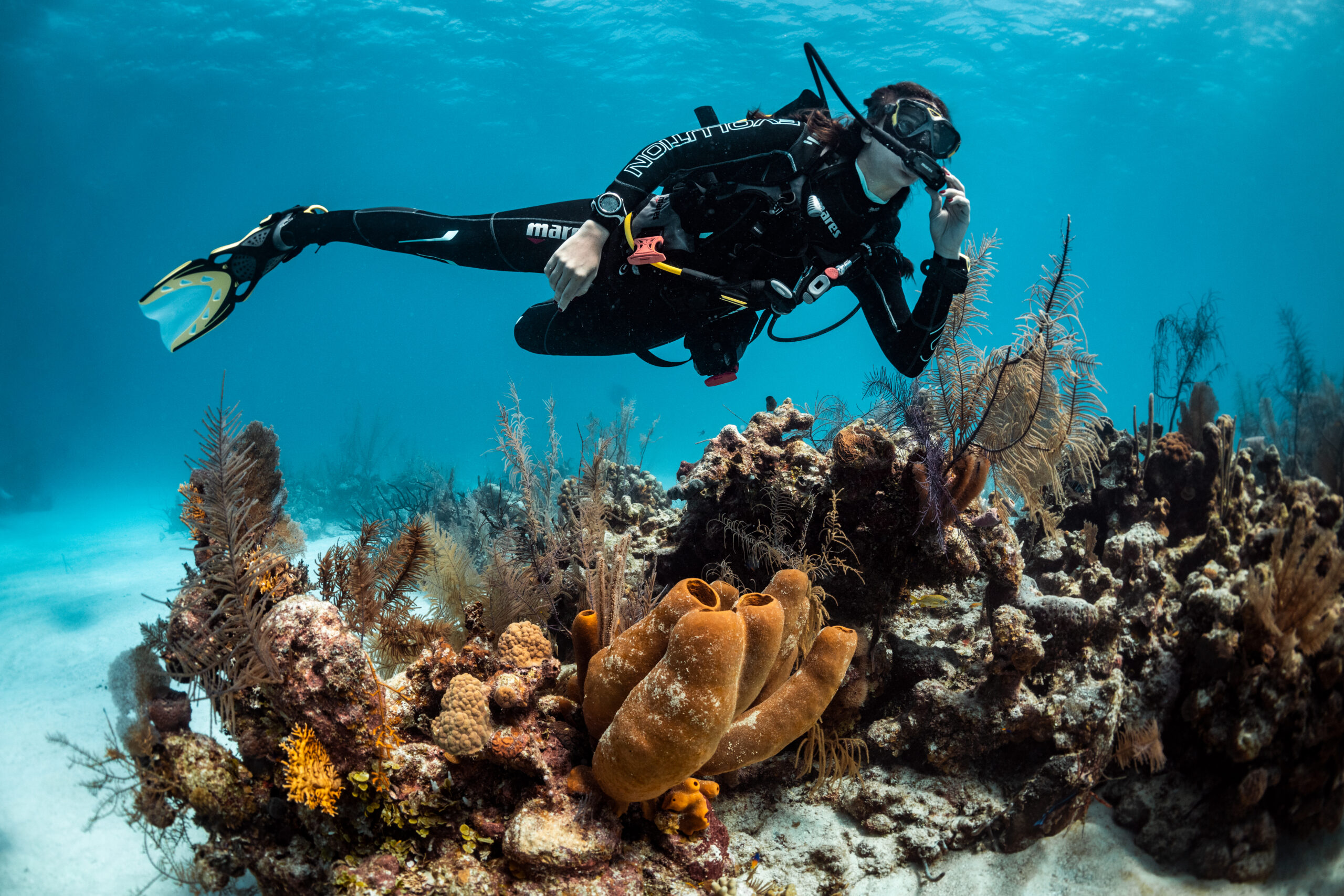 Scuba Diver Dive Image