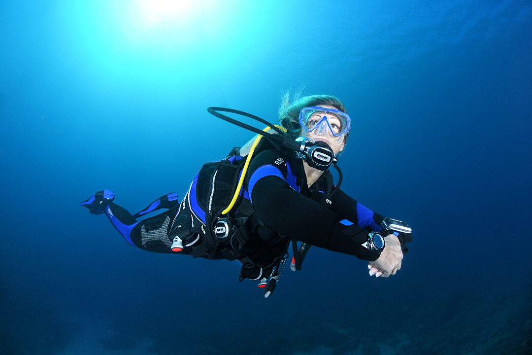 Presentation-Dive Image