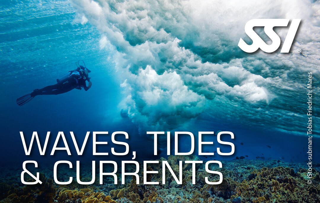 Waves, Tides & Currents