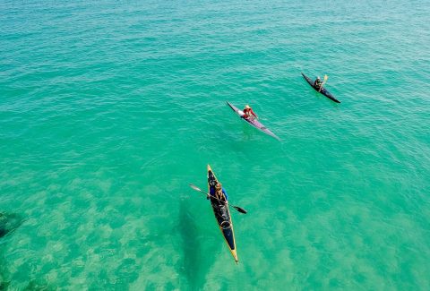 Kayaking.
Photo by Alexander Bobrov: https://www.pexels.com/photo/three-yellow-and-pink-kayak-1036864/