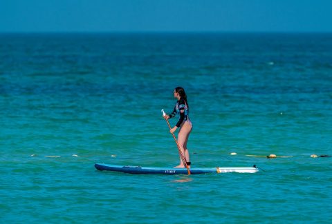 Stand Up Paddle board (SUP).
Photo by chris clark: https://www.pexels.com/photo/faceless-woman-on-sup-paddleboard-7432775/